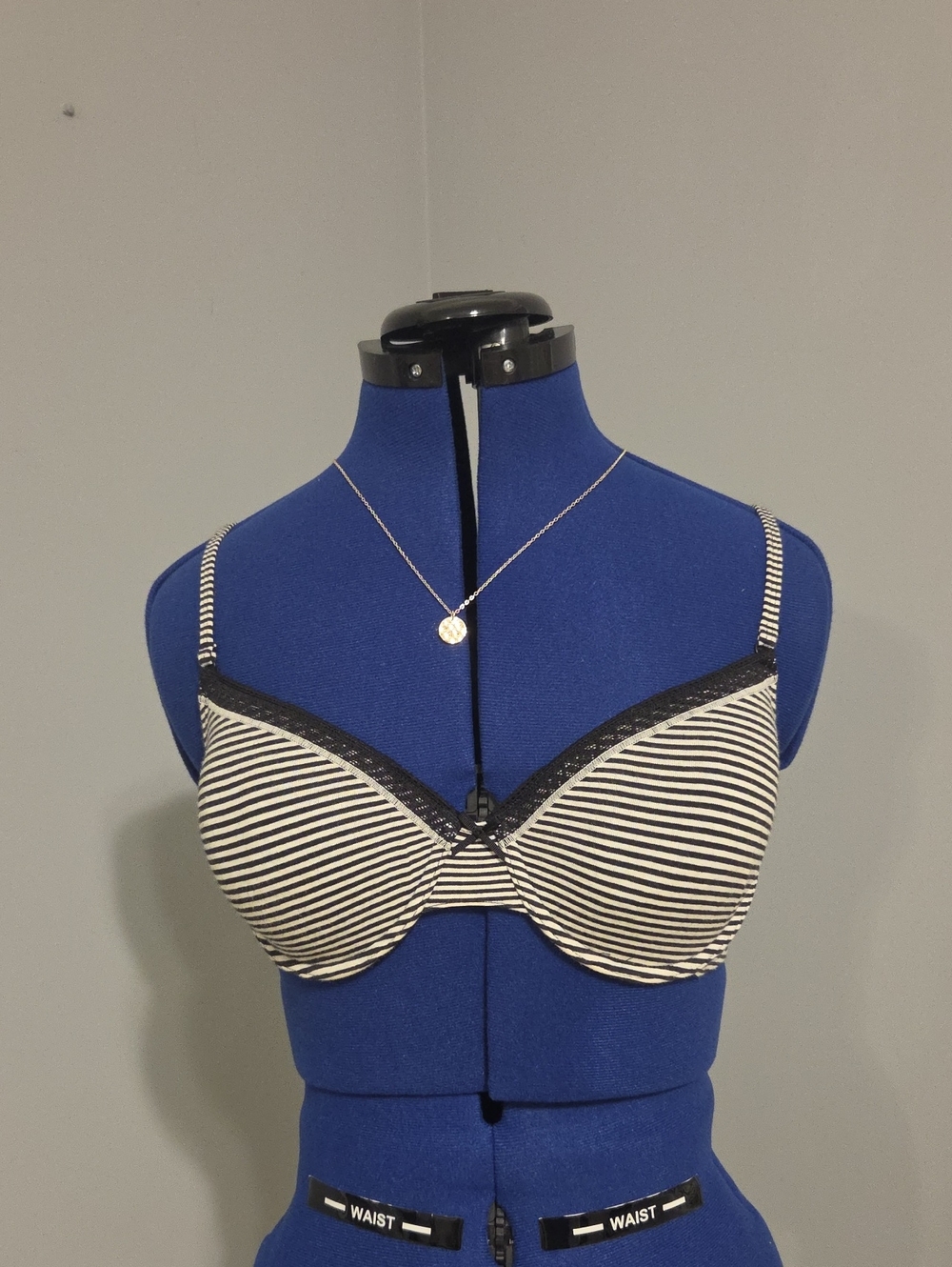 aerie Black and White Striped Underwire Bra